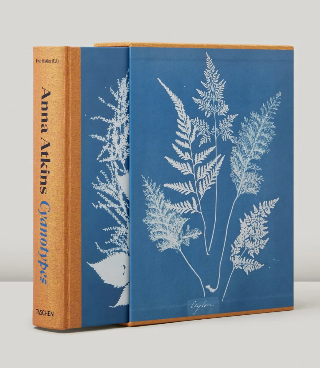 anna atkins cyanotypes | miss mustard seed